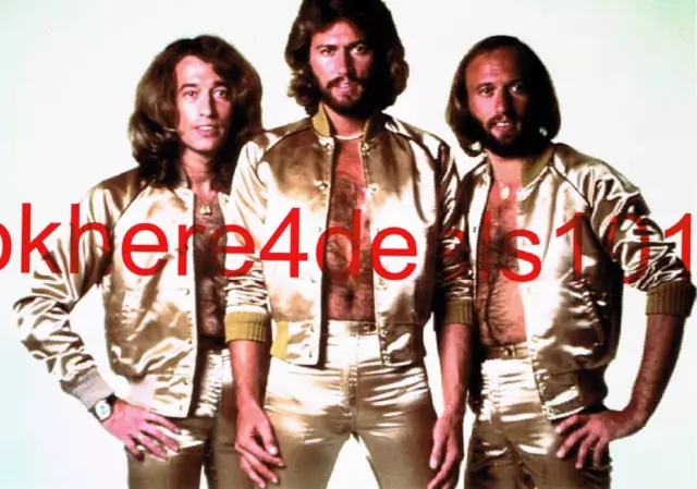 The Bee Gees Photo 8x10 Maurice Robin Barry Gibb Memorabilia Collectibles