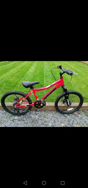 Barracuda 20 sales inch bike