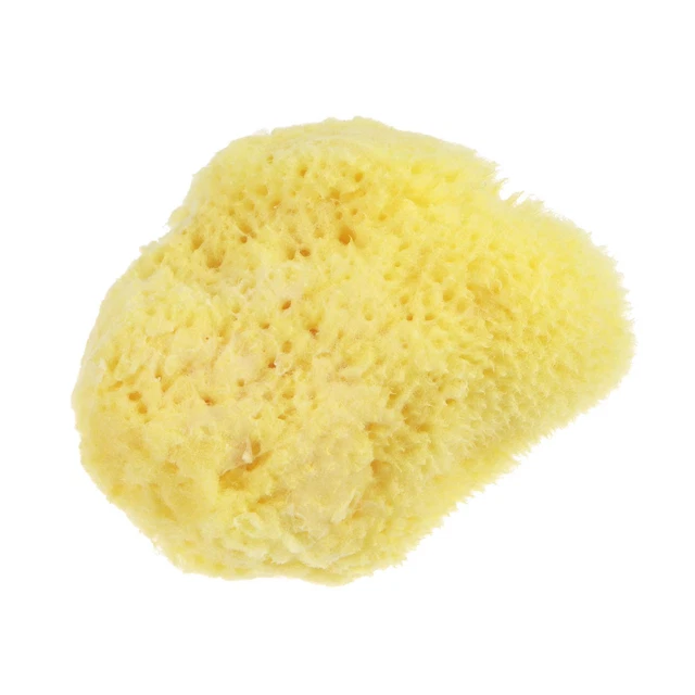 Knockdown Texture Sea Sponge 1.5" - 2" Painting Supplies Wall Texturing