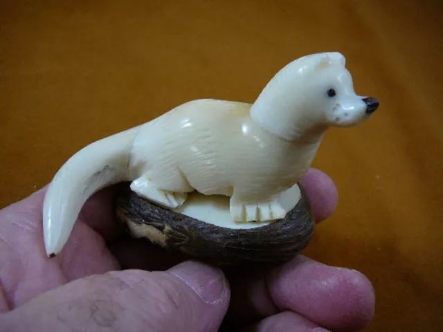 (TNE-OTT-364-b) little baby Otter Ferret Ermine TAGUA NUT Figurine Vegetable