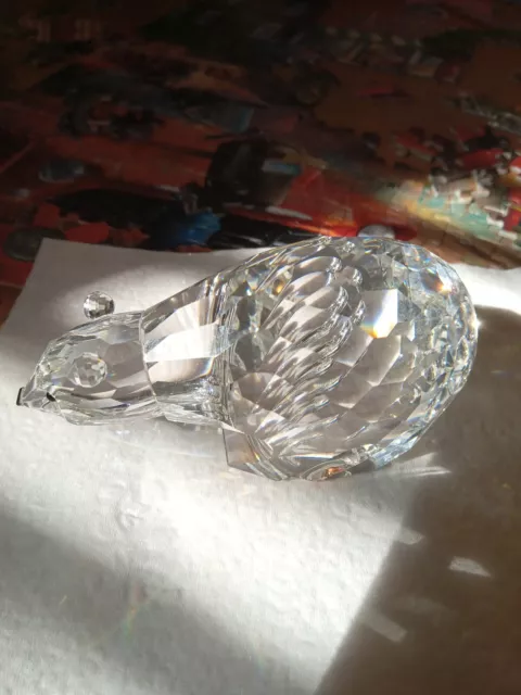 Swarovski Crystal Figurine POLAR BEAR KINGDOM OF ICE & SNOW  MIB
