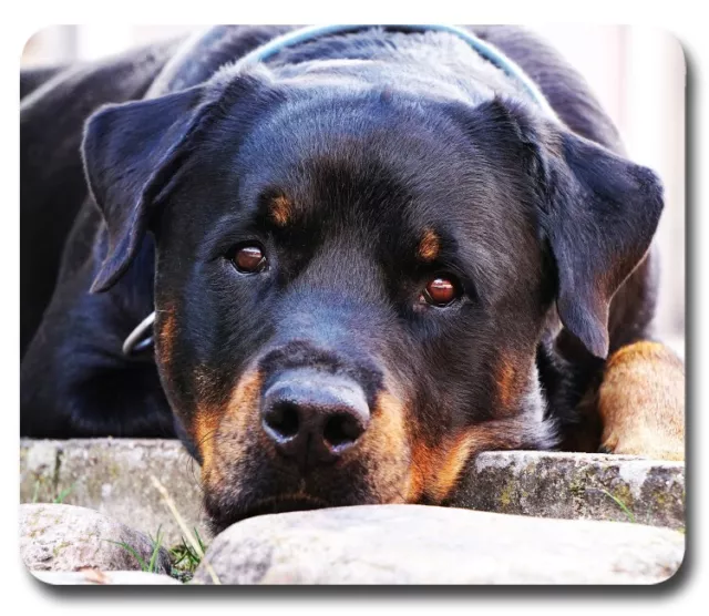 Rottweiler Dog Pure-breed ~ Mouse Pad / PC Mousepad ~ Computer Home Office Gift