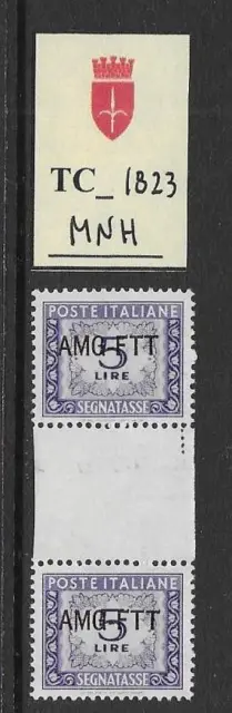 TC_1823. TRIESTE FTT. Gutter pairs of 5 Lire 1949 "SEGNATASSE". MNH
