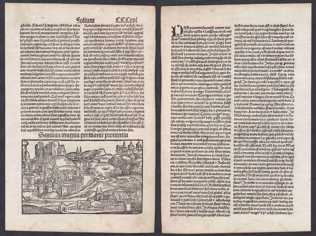 1496 Saxony Saxonia Schedel Chronicarum Incunable Inkunabel Woodcut