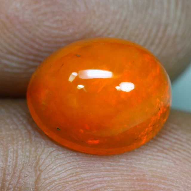 2.21 Cts_Extreme Great Fire_100 % Natural Multi-Color Flash Orange Fire Opal