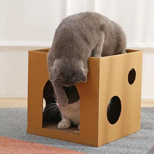 Pet Exercising Cat Toys Cat Cardboard Box Cat Scratching Board Mat Pet Supplies