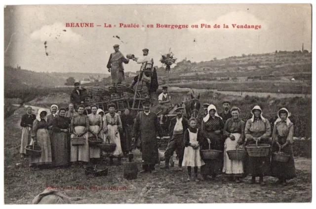 CPA 21 - BEAUNE (Côte d'Or) - La "Paulée" en Bourgogne ou Fin de la Vendange