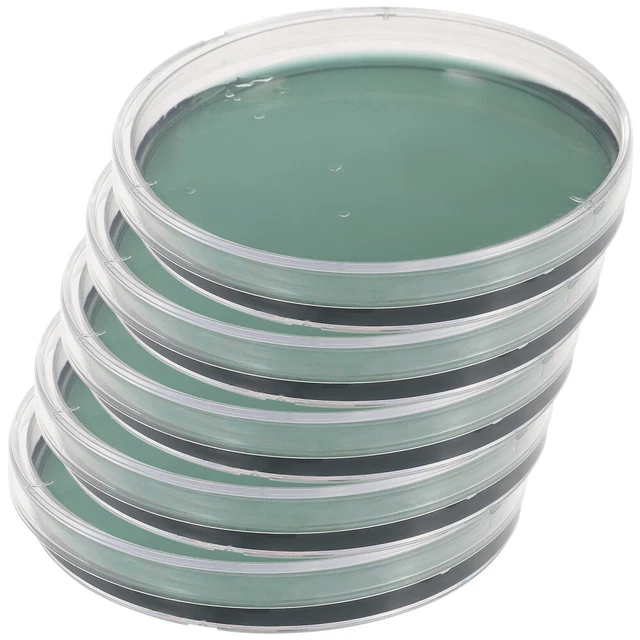 Nutrient Agar Plate Agar Petri Container Experimental Supplies