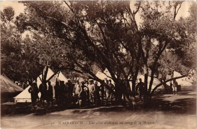 CPA AK MARRAKECH Une allée d'oliviers au camp de la Menara MAROC (689867)