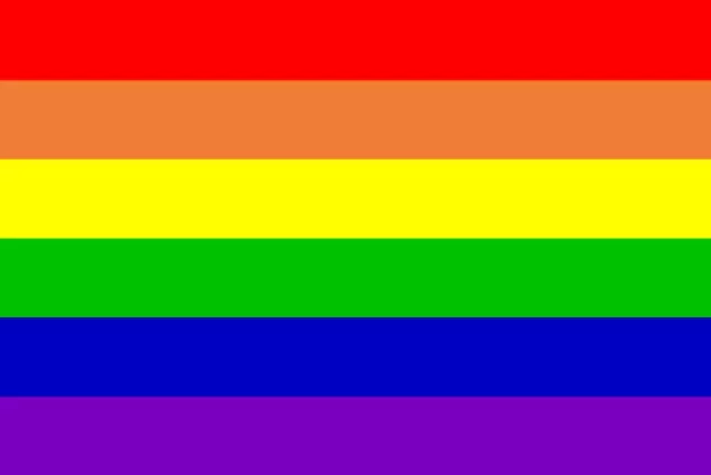 RAINBOW GIANT FLAG 8 X 5 FEET FLAGS Gay pride rainbows party festival festivals