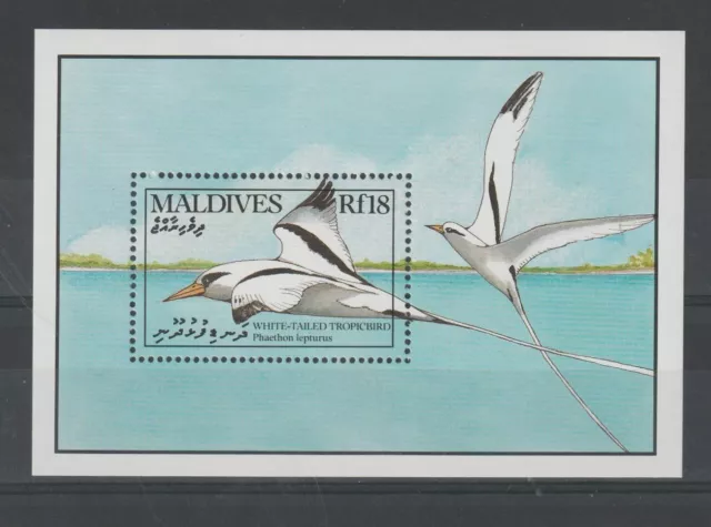 Maldivas 1990 Fauna Aves 1Bf MNH MF122000