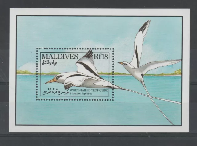 Maldives 1990 Fauna Vögel 1 Bf MNH MF122000