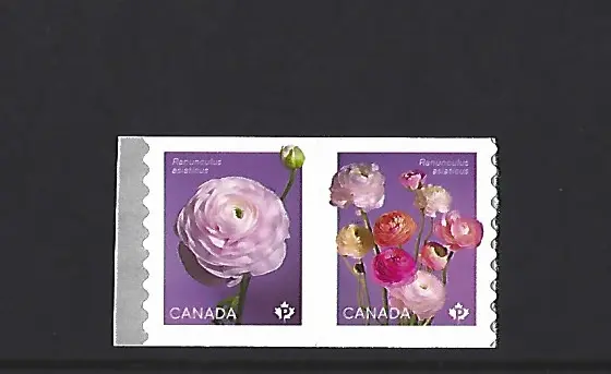 Canada 2023 Ranunculus Due Autoadesivo Bobina Francobolli Intatto Mint, MNH