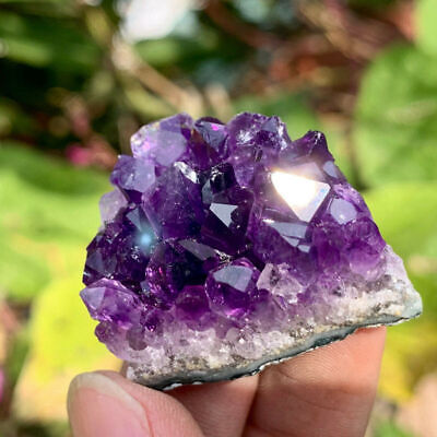 Natural Gemstone Amethyst Quartz Cluster Druzy Geode Crystal Healing Specimen