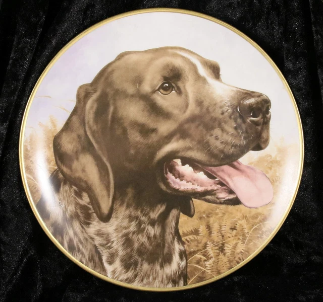 Kaiser Series of Bird Dogs German Short Haired Pointer by J Francis gundog