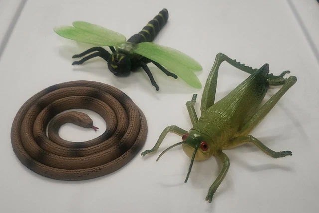 Realistic Animal Toys: Large Rubber Insects Dragonfly Grashopper Bugs And Snake