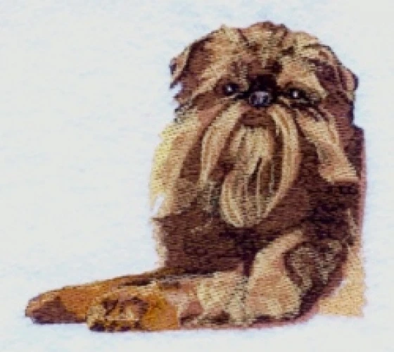 Embroidered Sweatshirt - Brussels Griffon BT3587  Sizes S - XXL