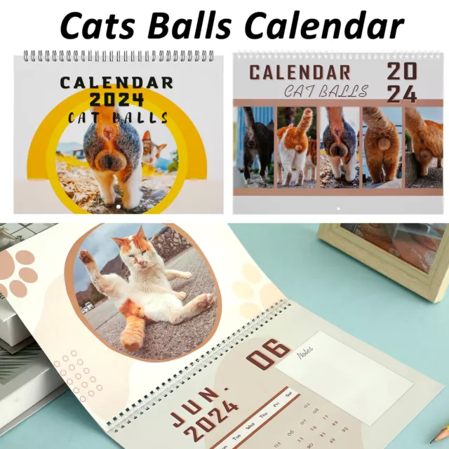 Cat Wall Calendar 2024, Printable Calendar, Funny Calendar, Cat