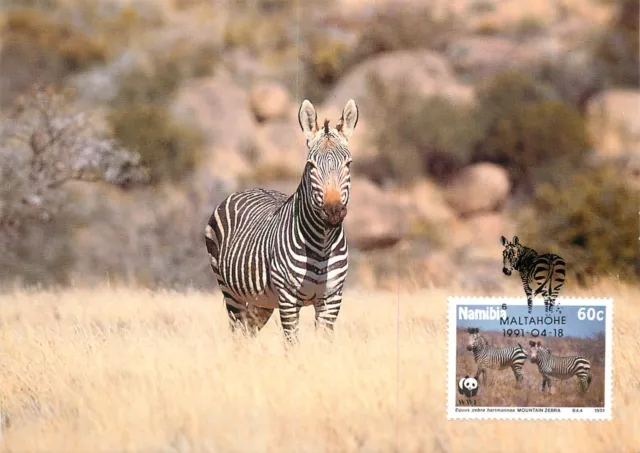 E0008 WWF Maximum Card 1991 Fauna Animals Namibia Hermann`s Mountain Zebra