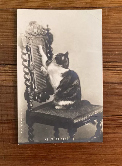 Antique 1900s French Cat RPPC Unposted “Reutlinger Paris"