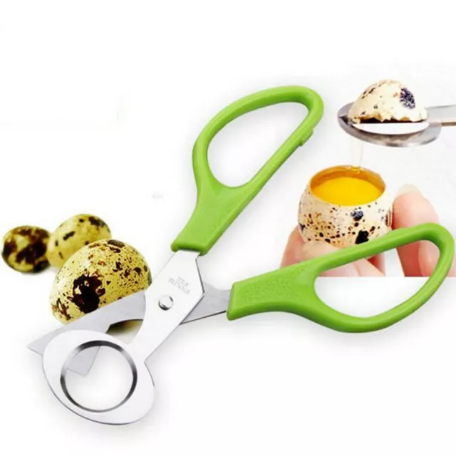 Pigeon Quail Egg Scissors Cracker Opener Cigar Cutter Stainless Steel Tool NUS 1