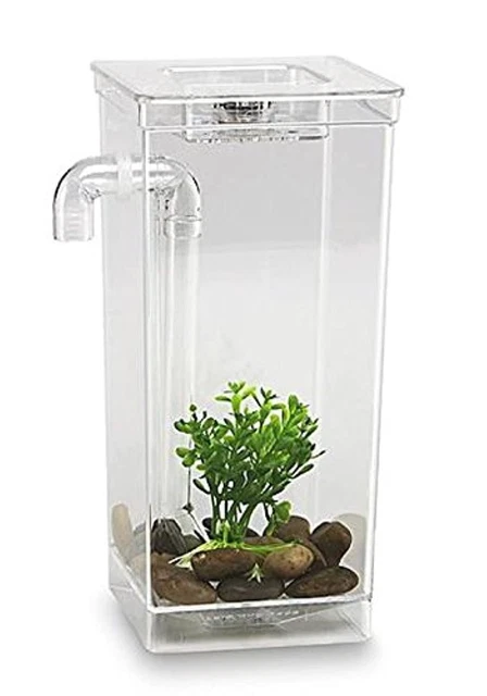 As Seen on TV 56028 My Fun Fish Tank, 4 3/4 x 6 x 10-Inch