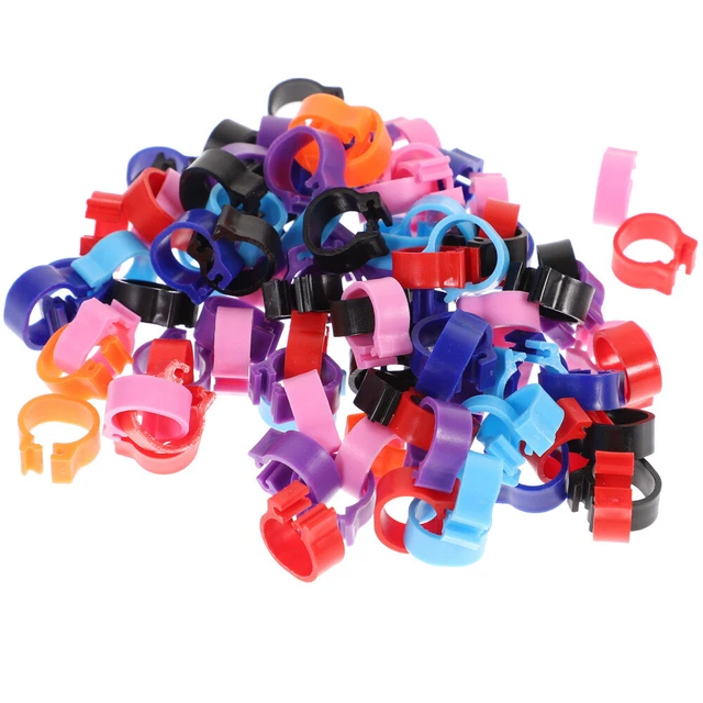100 pz Anello Plastica Piedi Piccione Anelli Gamba di Pollo Bacchette