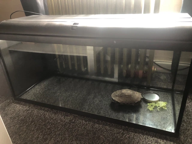 Large fish tank for any water type animals