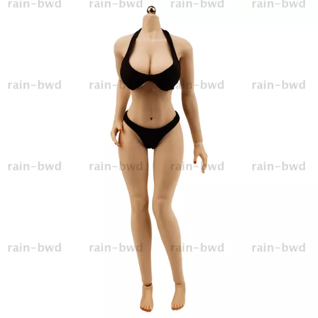 TBLeague PHMB2019-S34 1/6 Medium Breast Size Skin Female Seamless Body Toys  Pale