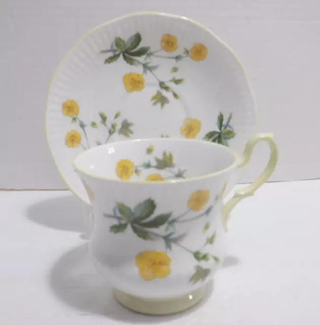 Rosina Queens Bone China Teacup and Saucer