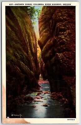 Oneonta Gorge Columbia River Highway Oregon Postcard UNP