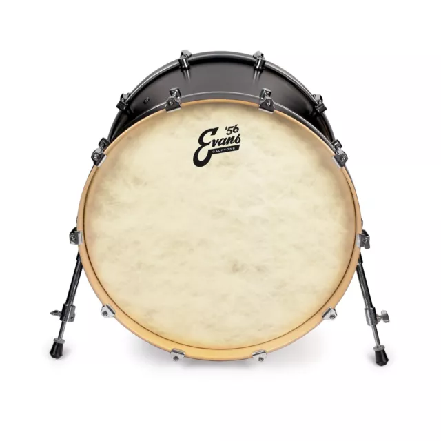 Evans EQ4 Calftone TT16GB4CT, 16", Bass Drum Batter (Tom Hoop)