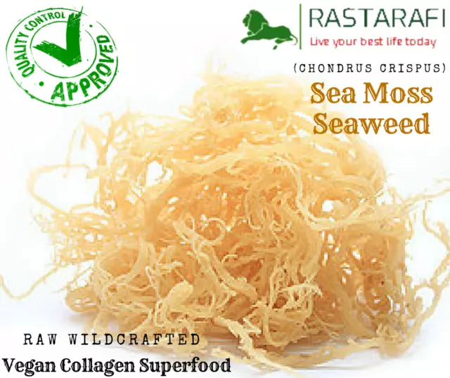 Rastarafi® Whole Leaf Irish Sea Moss 4 Oz | Raw WildCrafted Superfood