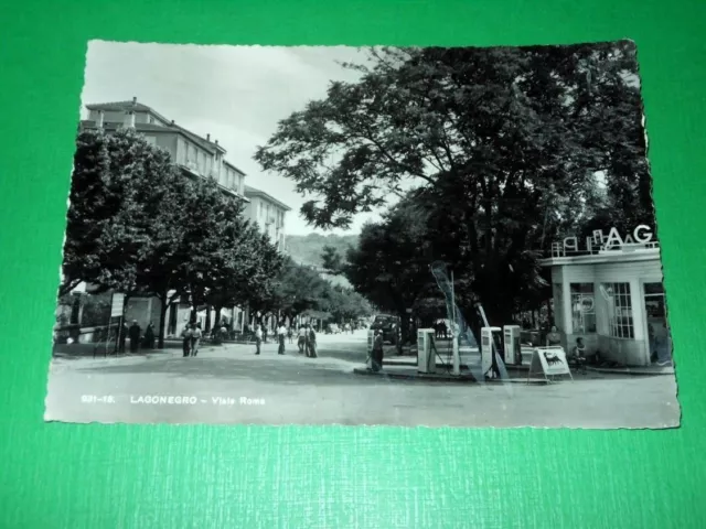 Cartolina Lagonegro ( Potenza ) - Viale Roma 1956