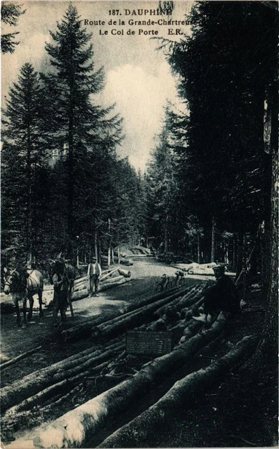 CPA Dauphiné - Route de la Grande-CHARTREUSE - Le Col de Porte (243923)