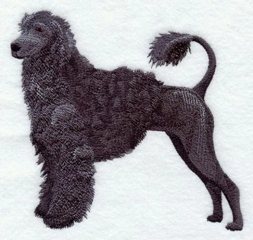Embroidered Ladies Jacket - Portuguese Water Dog C9631 Sizes S - XXL