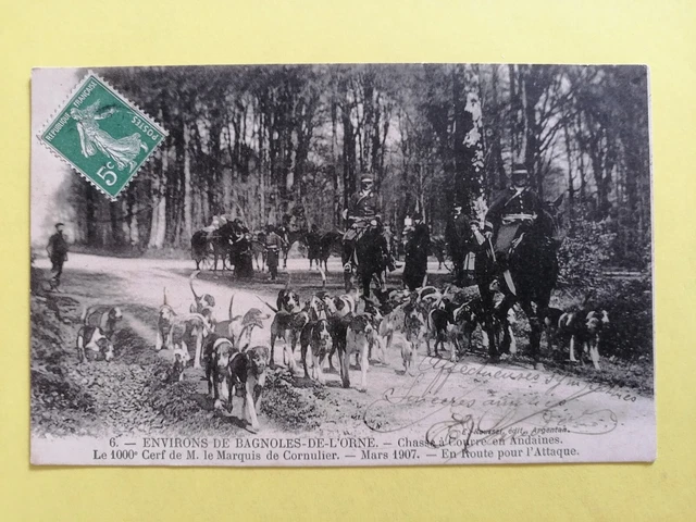 Ancienne Carte Postale Photo – Scène De Chasse à Courre En Forêt – Vintage