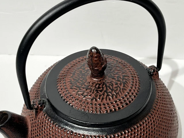 VINTAGE JAPANESE CAST Iron Large Teapot with Infuser, Red Archaize ...