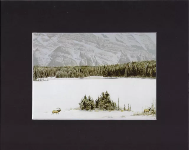 8X10" Matted Print Art Painting Picture, Robert Bateman: Elks in Snow, 1970