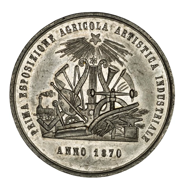 REGNO D'ITALIA PALLANZA Medaglia Esposizione Agricola Artistica Industriale 1870