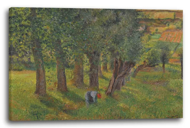 Toile/Cadres Camille Pissarro - LE CHOU À PONTOISE