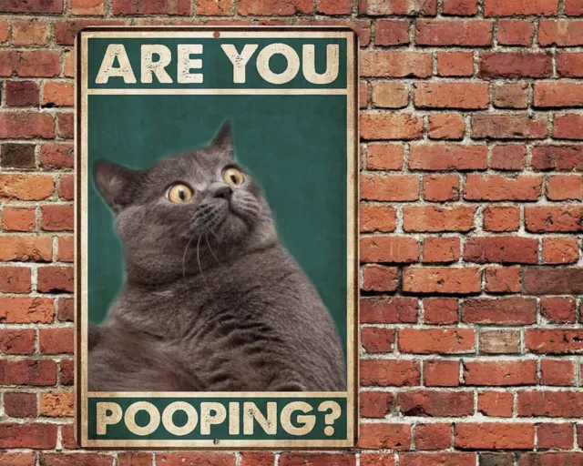 Are You Pooping Cat Metal Aluminum Sign 8"x12" Funny Bathroom Toilet