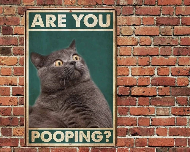 ARE YOU POOPING Black Cat Poster Toilet Decor Funny itty Cat Bathroom