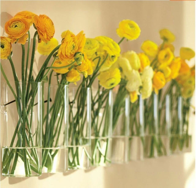Cylinder Clear Glass Vase Wall Hanging Vases Flower Plant Container Home Decor