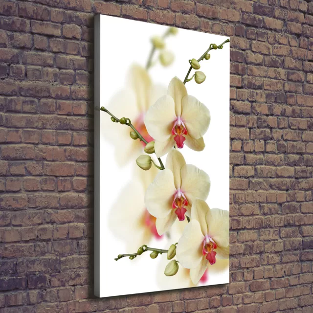Leinwand-Bild Kunstdruck Hochformat 70x140 Bilder Orchidee