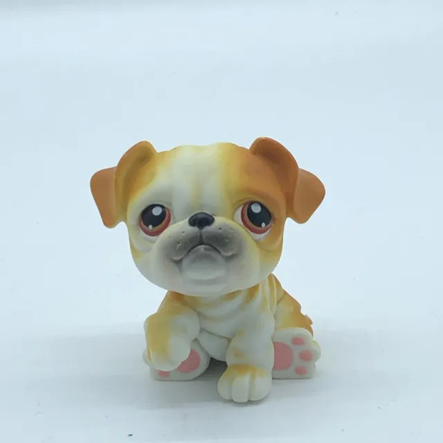 BULLDOG DOG #46- Authentic Littlest Pet Shop - Hasbro LPS
