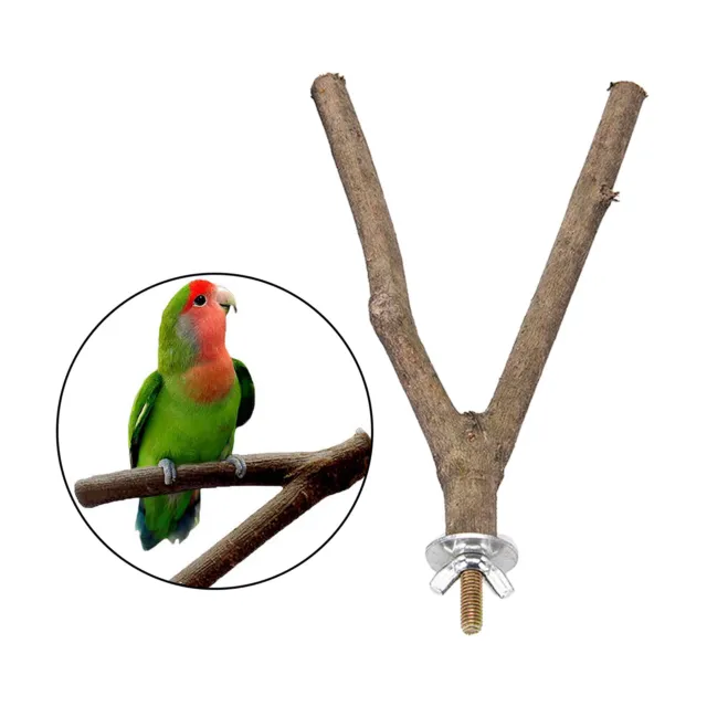 Vogel Barsch Natürliche   Vogel Käfig Schaukel Spielzeug Zweig für