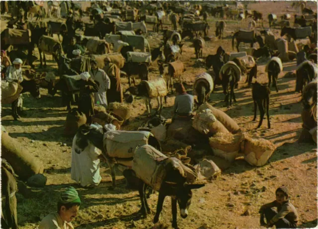 CPM AK souk MAROC (881188)
