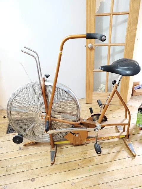 schwinn airdyne monitor not working