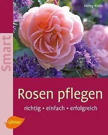 ROSEN PFLEGEN - Richtig, einfach, erfolgreich de Henry Klein | Livre ...